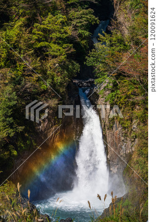 [靜岡縣] Oxys/梅之島地區的積水瀑布與彩虹 120091624