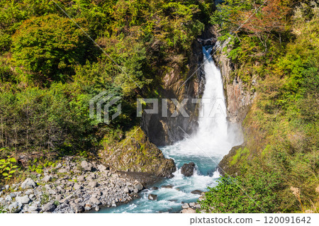[Shizuoka Prefecture] Akamizu Falls and rainbow in the Umeshima area of Okusu 120091642