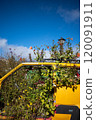 A car planter with autumn flowers and blue sky 120091911
