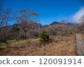 The beautiful forest of Yatsugatake seen from Mount Tenyo 120091914