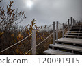The fantastic autumn scenery of Yatsugatake 120091915