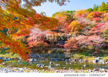 Korankei (Autumn) Korankei (Autumn) 120092147