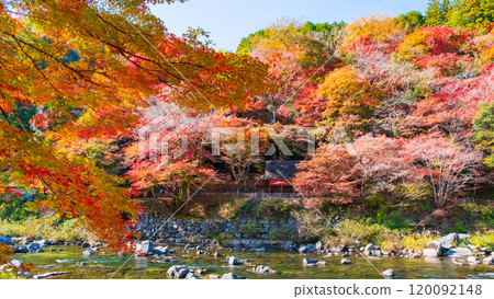 Korankei (Autumn) Korankei (Autumn) 120092148