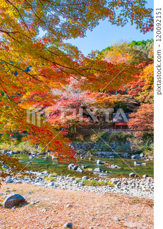Korankei (Autumn) 120092151