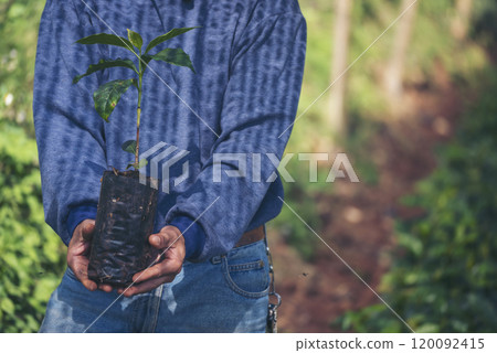 Smart farmer checking plant in eco green farm sustainable quality control. Close up Hand check quality control plant tree. Farmer cultivated planting in eco Farmland biotechnology. Green agriculture 120092415