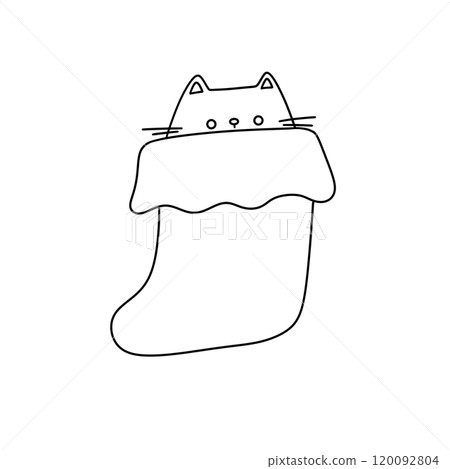 A cat is peeking out of a stocking 120092804