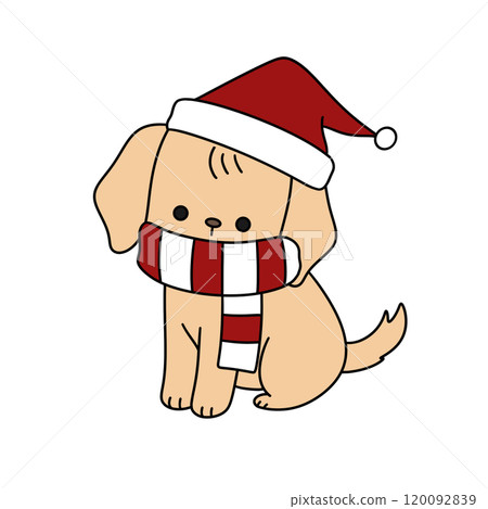 A dog is wearing a red and white scarf and a red hat A dog is wearing a red and white scarf and a red hat 120092839