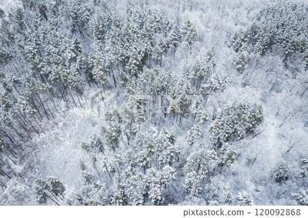 A breathtaking aerial view showcases a snowcovered forest, radiating the beauty of winters chill A breathtaking aerial view showcases a snowcovered forest, radiating the beauty of winters chill 120092868