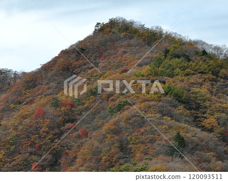 [從群馬縣榛名湖鳥瞰]秋葉的榛名 120093511