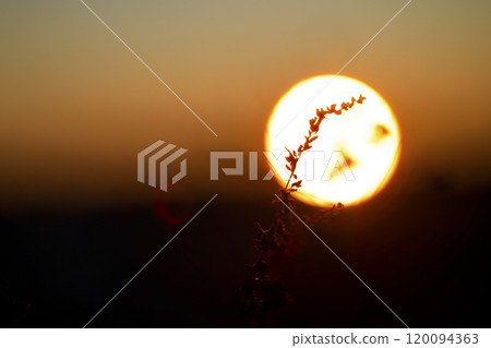 冬天的日出和乾草 120094363