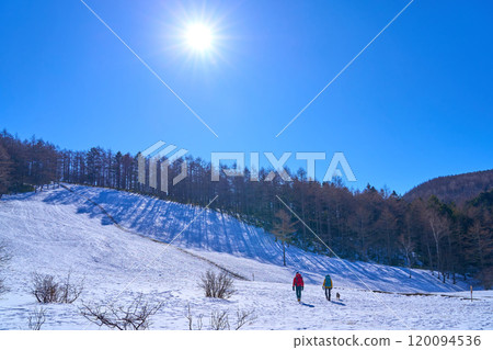冬天從長野縣富士見町入笠山濕地往南望去 120094536