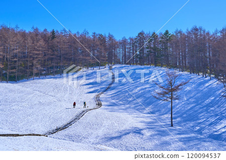 冬天從長野縣富士見町入笠山濕地往南望去 冬天從長野縣富士見町入笠山濕地往南望去 120094537