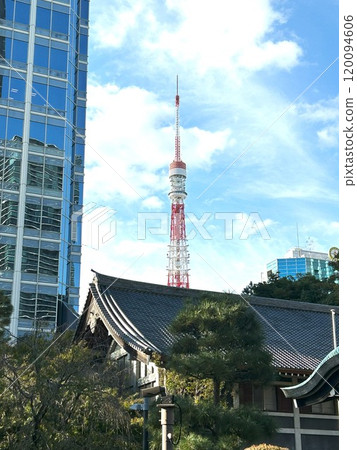 View from the garden View from the garden 120094606