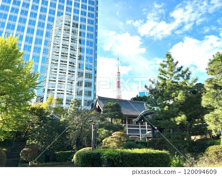 View from the garden 120094609