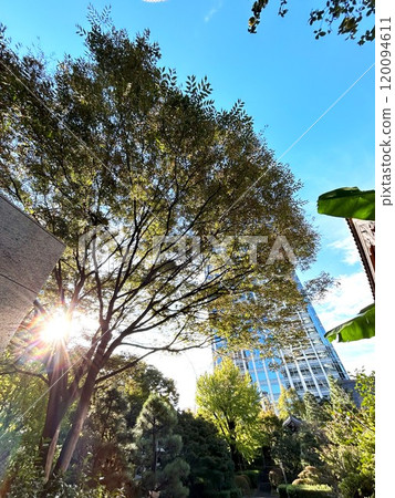 從花園看到的風景 從花園看到的風景 120094611