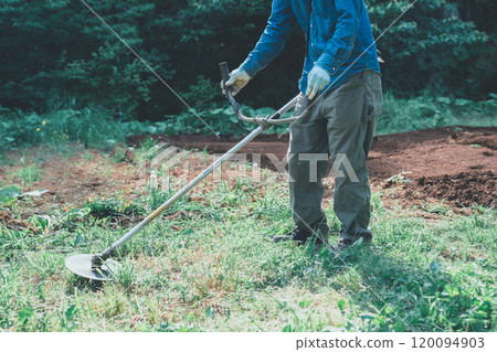 Brushcutter around the field 120094903
