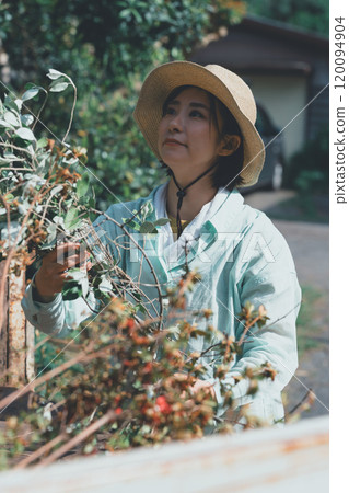 修剪分公司和承包商 120094904