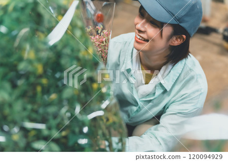 Shipping work at a flower farm Shipping work at a flower farm 120094929