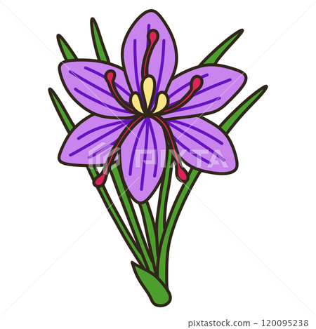 saffron saffron 120095238