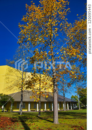 越前陶藝村的秋天 120095443