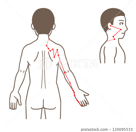 針灸穴位、手太陽小腸經、穴位圖解 針灸穴位、手太陽小腸經、穴位圖解 120095533