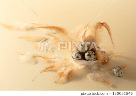 Quail eggs and feathers on a yellow background. Quail eggs and feathers on a yellow background. 120095846