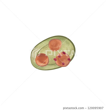 Three sweet cookies on a green saucer. Vintage style. Isolated watercolor illustration on a white background for menu design or baking packaging. 120095907