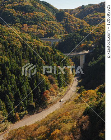 A national highway surrounded by autumn leaves 120095925