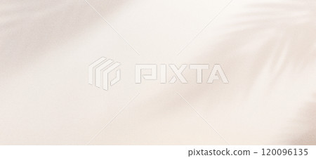 A soft, white surface with light illuminating it from the top right corner. 120096135