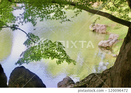 栗林公園/藍楓（香川縣/高松市） 120096472