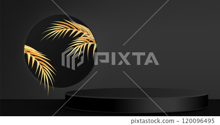 Elegant display setup on black backdrop, 120096495