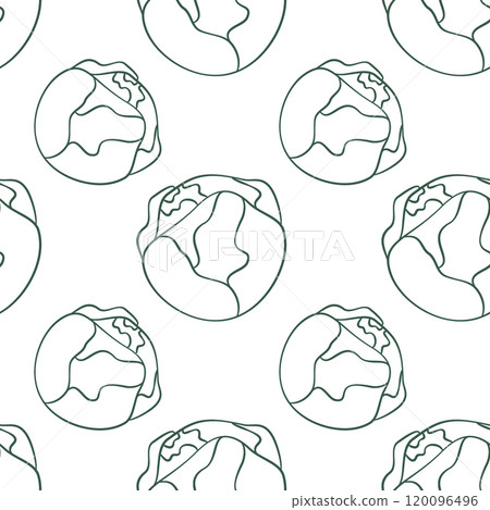 Outline Brussels sprouts heads Seamless pattern Healthy eating background or wallpaper design idea 120096496