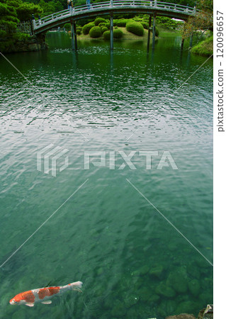 栗林公園、池塘和鯉魚（香川縣高松市） 120096657