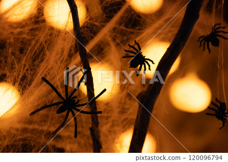 Close-up of spiders. Brightly colored lanterns in the form of pumpkins. Halloween holiday. Darkness. Spider web and spiders. For backgrounds 120096794