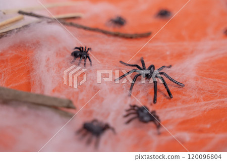 Close-up of spiders in a web on an orange background. Close-up of spiders in a web on an orange background. 120096804