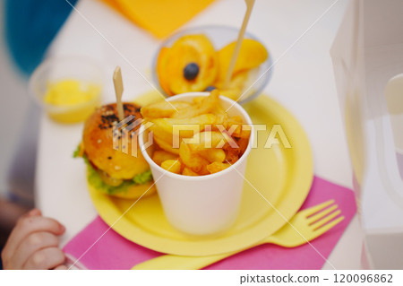 portioned snacks for a children's party. French fries, burger and fruit portioned snacks for a children's party. French fries, burger and fruit 120096862