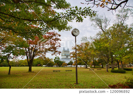 綠色中心的秋天 綠色中心的秋天 120096892