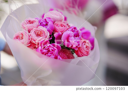 A delicate and beautiful bouquet of pink peony roses.  120097103