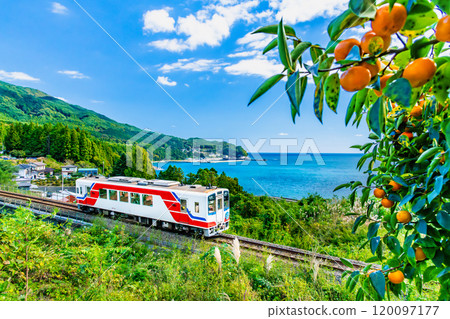 Sanriku Railway: A train running along the Sanriku Coast in autumn (Yoshihama-Toni) 120097177
