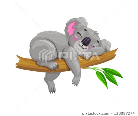 Cartoon cute sleeping koala bear character. Australia jungle fauna bear comical isolated cartoon vector character, zoo mammal animal childish mascot or koala cute personage sleeping on eucalyptus 120097274