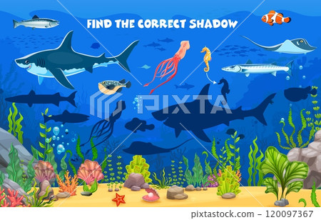 Find the correct shadow of sea animals on underwater landscape vector kids game worksheet. Sea animal and fish puzzle quiz with cartoon shark, squid, tuna and seahorse, clownfish and pike characters Find the correct shadow of sea animals on underwater landscape vector kids game worksheet. Sea animal and fish puzzle quiz with cartoon shark, squid, tuna and seahorse, clownfish and pike characters 120097367