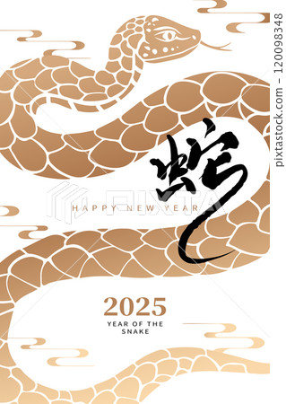 asian, asiatic, asia 120098348