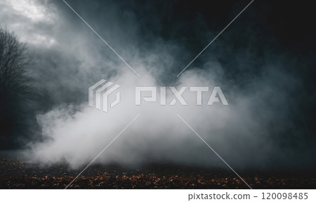 Thick fog rolls through the forest, creating a mysterious and eerie atmosphere 120098485