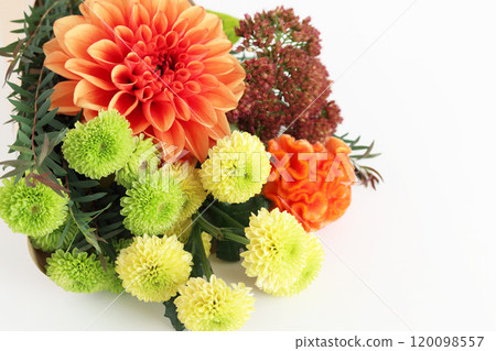 秋天獻花 120098557