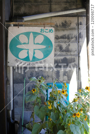 復古米店招牌 120098717