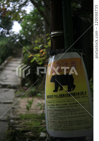 山路上的熊警告標誌 120098735