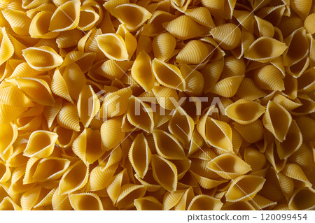 Uncooked Conchiglie Pasta Background 120099454