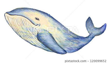 Smiling Whale 120099652