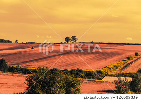 [美瑛町親子樹與拖拉機秋夜景] 120099839