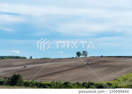 [Biei Town Parent and Child Trees and Tractor Autumn Scenery] 120099840